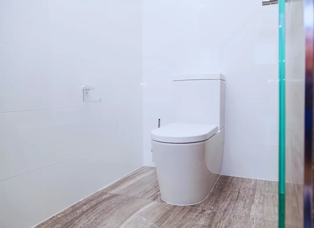 Remplacement de wc La Balme-de-Sillingy