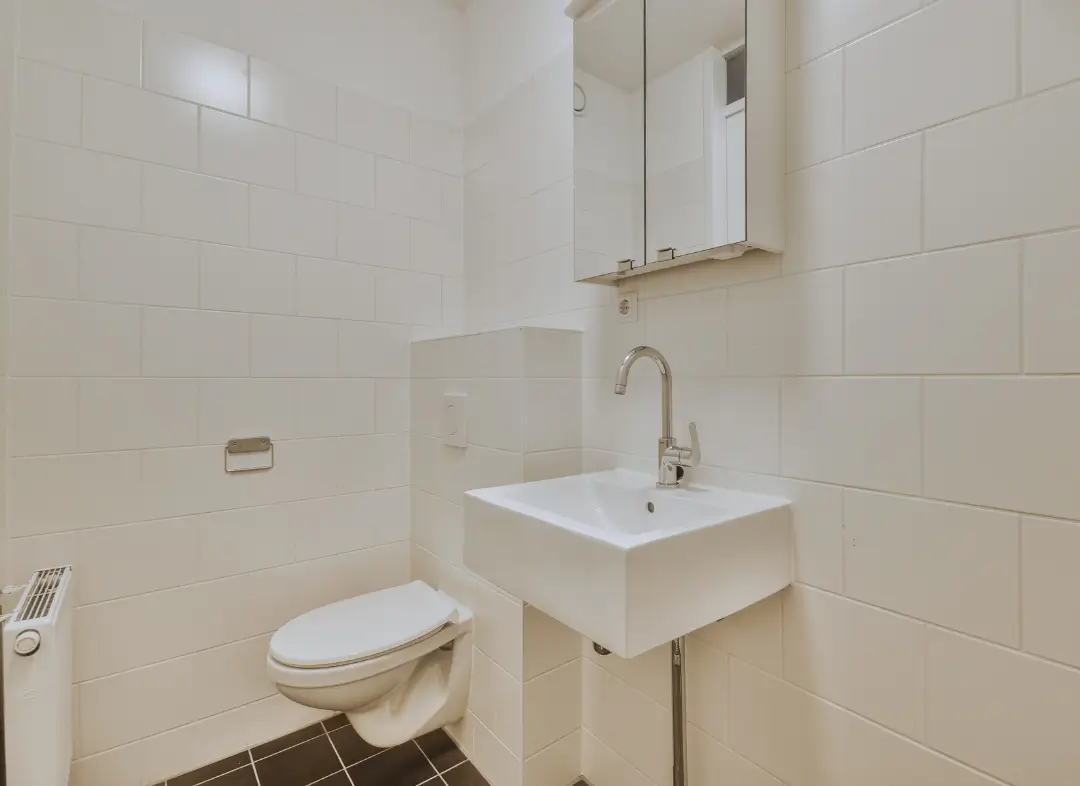 Pose WC Suspendu La Balme-de-Sillingy